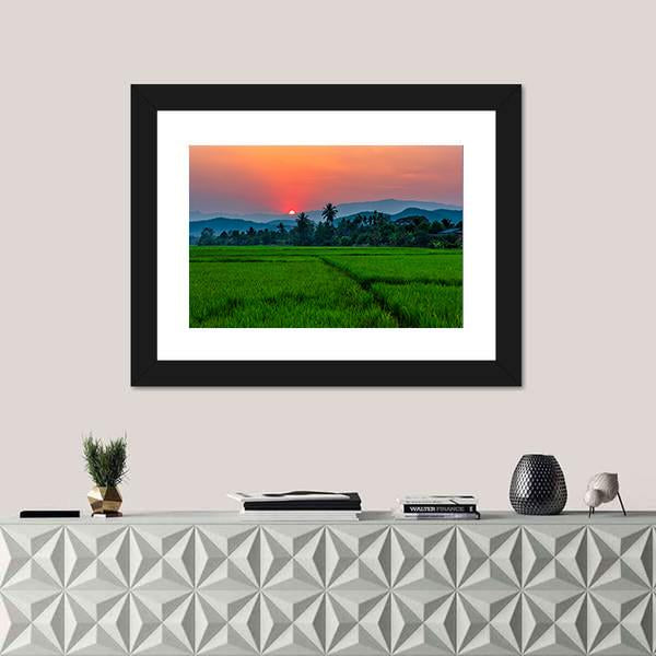 Rice Field Mae Kon At Sunset In Chiang Rai In Thailand Canvas Wall Art-1 Piece-Framed Print-20" x 16"-Tiaracle