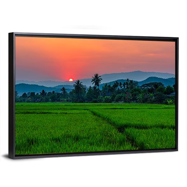 Rice Field Mae Kon At Sunset In Chiang Rai In Thailand Canvas Wall Art-3 Horizontal-Gallery Wrap-25" x 16"-Tiaracle