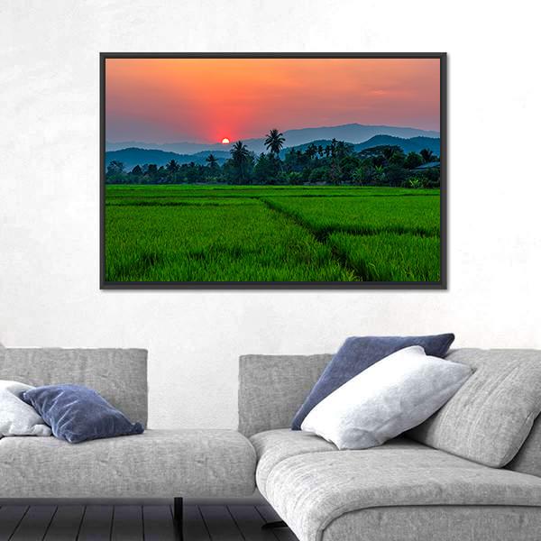 Rice Field Mae Kon At Sunset In Chiang Rai In Thailand Canvas Wall Art-3 Horizontal-Gallery Wrap-25" x 16"-Tiaracle