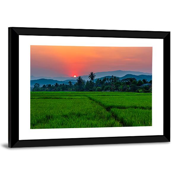 Rice Field Mae Kon At Sunset In Chiang Rai In Thailand Canvas Wall Art-3 Horizontal-Gallery Wrap-25" x 16"-Tiaracle