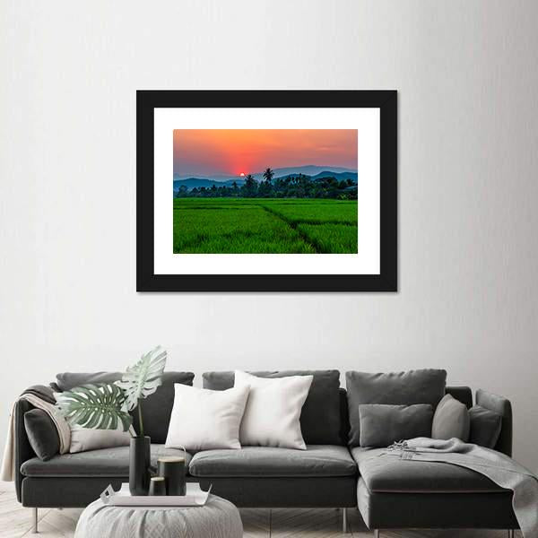 Rice Field Mae Kon At Sunset In Chiang Rai In Thailand Canvas Wall Art-3 Horizontal-Gallery Wrap-25" x 16"-Tiaracle