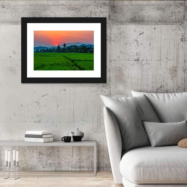 Rice Field Mae Kon At Sunset In Chiang Rai In Thailand Canvas Wall Art-3 Horizontal-Gallery Wrap-25" x 16"-Tiaracle