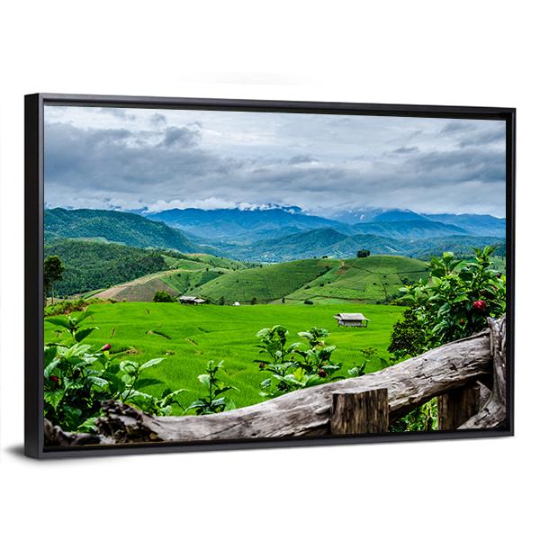 Rice Fields At Maechaem In Thailand Canvas Wall Art-3 Horizontal-Gallery Wrap-25" x 16"-Tiaracle