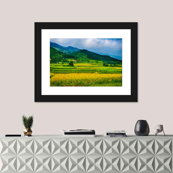 Rice Fields On Terraced Of Vietnam Canvas Wall Art-1 Piece-Framed Print-20" x 16"-Tiaracle