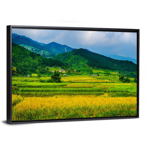 Rice Fields On Terraced Of Vietnam Canvas Wall Art-3 Horizontal-Gallery Wrap-25" x 16"-Tiaracle