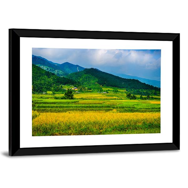Rice Fields On Terraced Of Vietnam Canvas Wall Art-3 Horizontal-Gallery Wrap-25" x 16"-Tiaracle