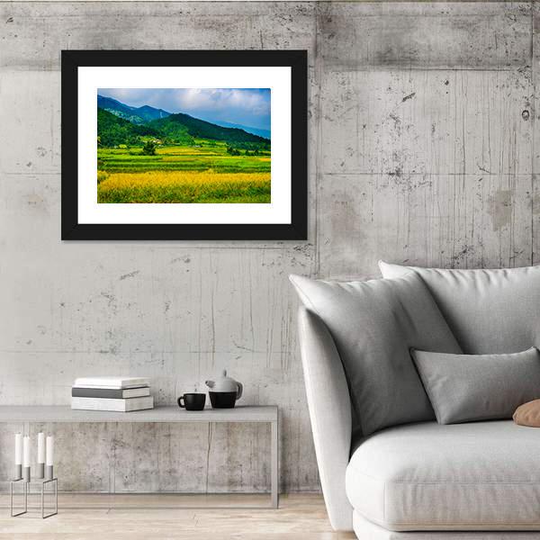 Rice Fields On Terraced Of Vietnam Canvas Wall Art-3 Horizontal-Gallery Wrap-25" x 16"-Tiaracle