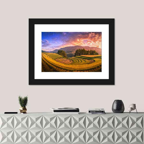 Rice Fields On Terraced With Pine Tree At Sunset Canvas Wall Art-1 Piece-Framed Print-20" x 16"-Tiaracle