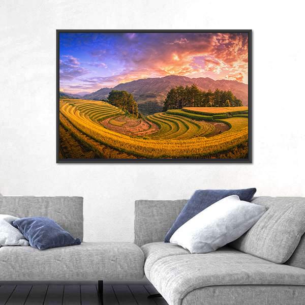 Rice Fields On Terraced With Pine Tree At Sunset Canvas Wall Art-5 Horizontal-Gallery Wrap-22" x 12"-Tiaracle