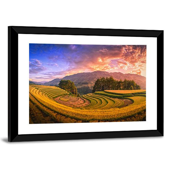 Rice Fields On Terraced With Pine Tree At Sunset Canvas Wall Art-5 Horizontal-Gallery Wrap-22" x 12"-Tiaracle