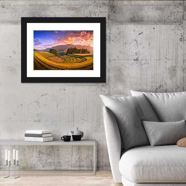 Rice Fields On Terraced With Pine Tree At Sunset Canvas Wall Art-5 Horizontal-Gallery Wrap-22" x 12"-Tiaracle
