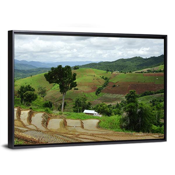 Rice Terrace At Maechaem In Thailand Canvas Wall Art-3 Horizontal-Gallery Wrap-25" x 16"-Tiaracle