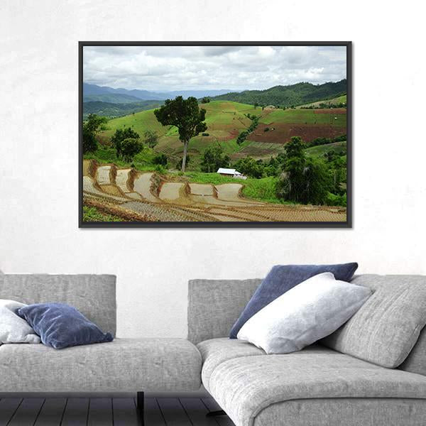 Rice Terrace At Maechaem In Thailand Canvas Wall Art-3 Horizontal-Gallery Wrap-25" x 16"-Tiaracle