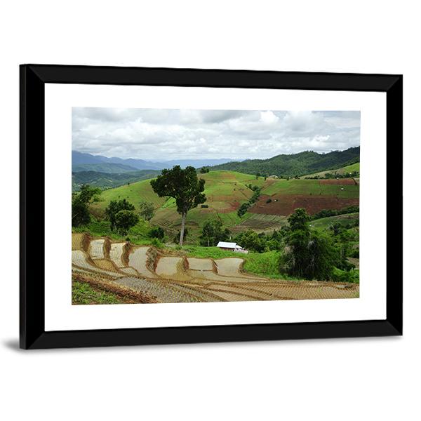 Rice Terrace At Maechaem In Thailand Canvas Wall Art-3 Horizontal-Gallery Wrap-25" x 16"-Tiaracle