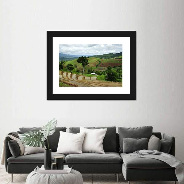 Rice Terrace At Maechaem In Thailand Canvas Wall Art-3 Horizontal-Gallery Wrap-25" x 16"-Tiaracle