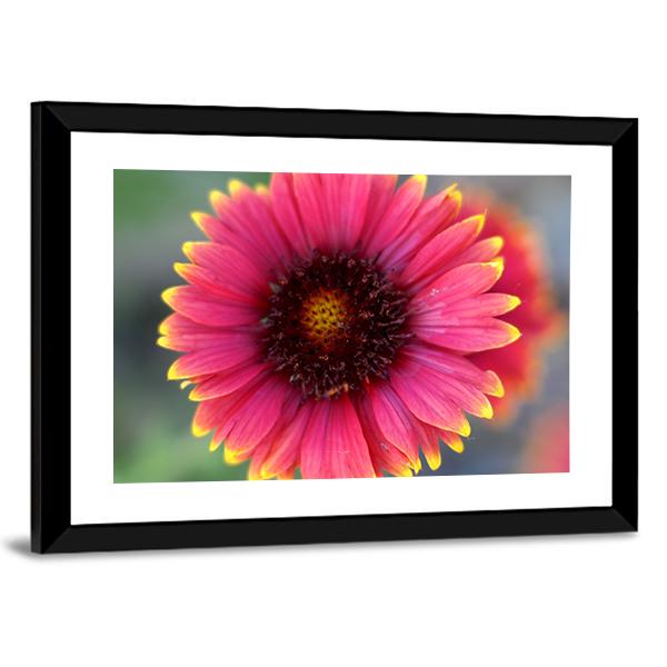 Ripe Red Flower Canvas Wall Art-5 Horizontal-Gallery Wrap-22" x 12"-Tiaracle