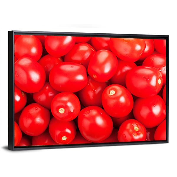Ripe Red Tomatoes Canvas Wall Art-3 Horizontal-Gallery Wrap-25" x 16"-Tiaracle