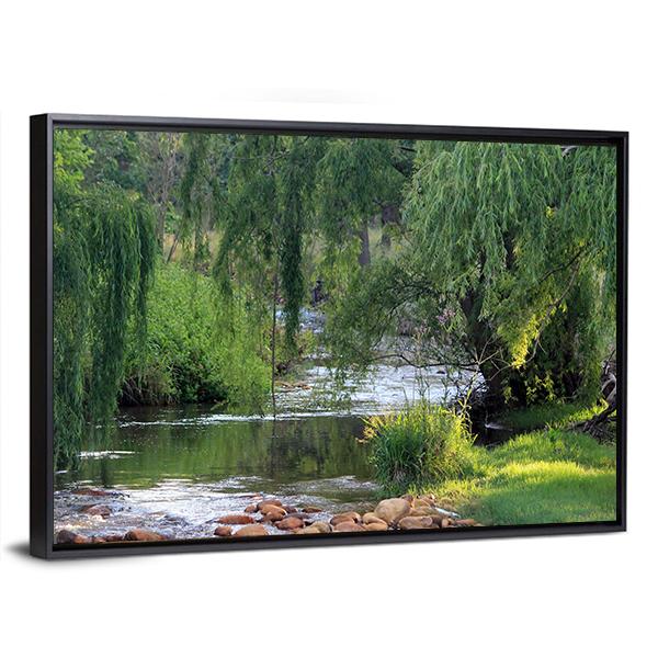 River Flowing Past Willow Trees Canvas Wall Art-3 Horizontal-Gallery Wrap-25" x 16"-Tiaracle