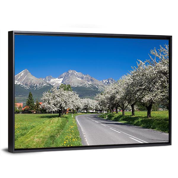 Road To High Tatras Canvas Wall Art-5 Horizontal-Gallery Wrap-22" x 12"-Tiaracle