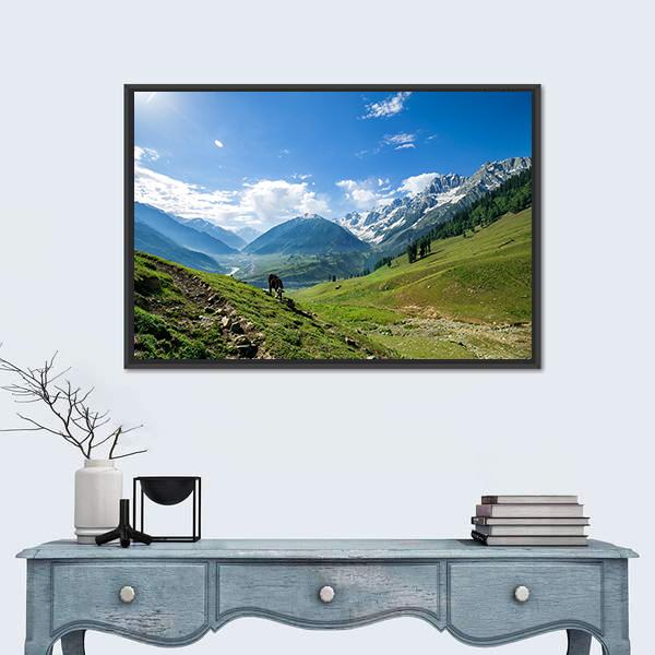 Rocky Mountains And Green Field In Jammu And Kashmir Canvas Wall Art-1 Piece-Floating Frame-24" x 16"-Tiaracle