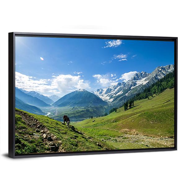 Rocky Mountains And Green Field In Jammu And Kashmir Canvas Wall Art-3 Horizontal-Gallery Wrap-25" x 16"-Tiaracle