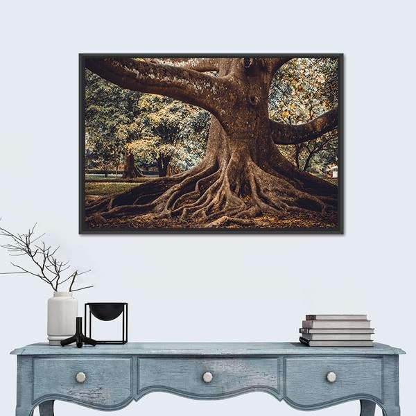 Root Of The Tree In The Forest Canvas Wall Art-1 Piece-Floating Frame-24" x 16"-Tiaracle