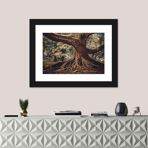 Root Of The Tree In The Forest Canvas Wall Art-1 Piece-Framed Print-20" x 16"-Tiaracle