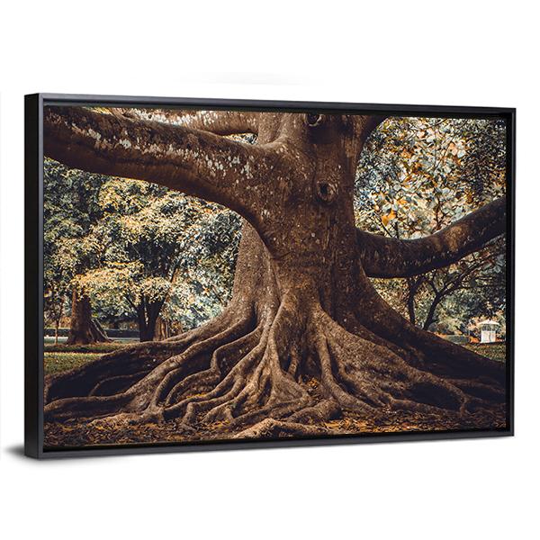 Root Of The Tree In The Forest Canvas Wall Art-3 Horizontal-Gallery Wrap-25" x 16"-Tiaracle