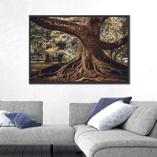 Root Of The Tree In The Forest Canvas Wall Art-3 Horizontal-Gallery Wrap-25" x 16"-Tiaracle