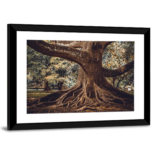 Root Of The Tree In The Forest Canvas Wall Art-3 Horizontal-Gallery Wrap-25" x 16"-Tiaracle