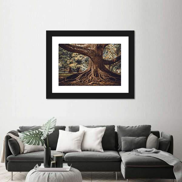 Root Of The Tree In The Forest Canvas Wall Art-3 Horizontal-Gallery Wrap-25" x 16"-Tiaracle