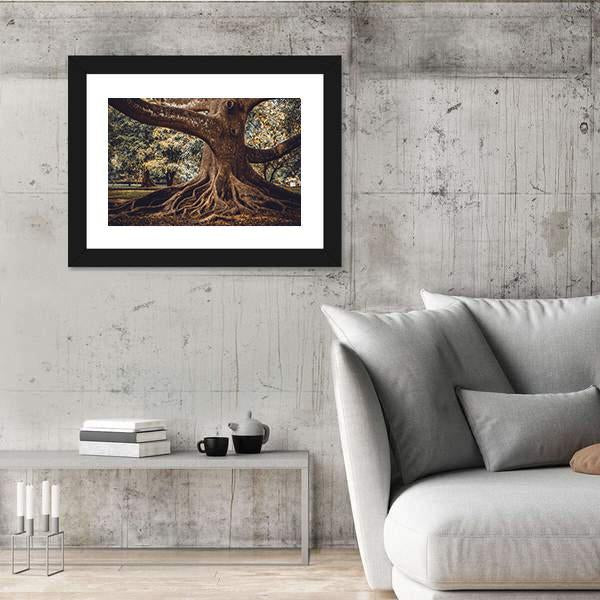 Root Of The Tree In The Forest Canvas Wall Art-3 Horizontal-Gallery Wrap-25" x 16"-Tiaracle
