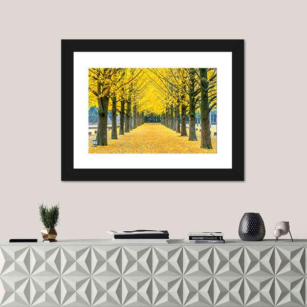 Row Of Yellow Ginkgo Tree In Nami Island Canvas Wall Art-1 Piece-Framed Print-20" x 16"-Tiaracle