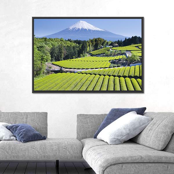 Rows Of Fresh Green Tea With Mount Fuji Canvas Wall Art-5 Horizontal-Gallery Wrap-22" x 12"-Tiaracle