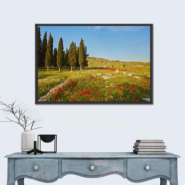 Ruins Of Ancient City In Turkey Canvas Wall Art-1 Piece-Floating Frame-24" x 16"-Tiaracle