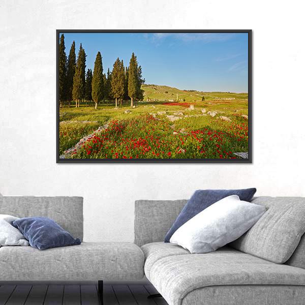 Ruins Of Ancient City In Turkey Canvas Wall Art-3 Horizontal-Gallery Wrap-25" x 16"-Tiaracle