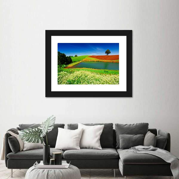 Rural Field In Tasmania Australia Canvas Wall Art-1 Piece-Framed Print-30" x 20"-Tiaracle