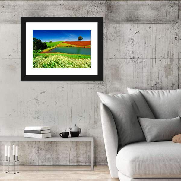 Rural Field In Tasmania Australia Canvas Wall Art-5 Horizontal-Gallery Wrap-22" x 12"-Tiaracle