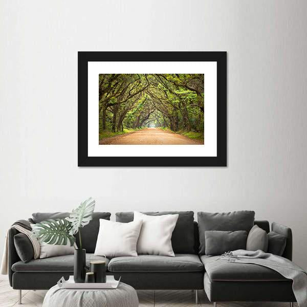Scenic Forest With Spanish Moss Edisto Island Canvas Wall Art-1 Piece-Framed Print-20&quot; x 16&quot;-Tiaracle