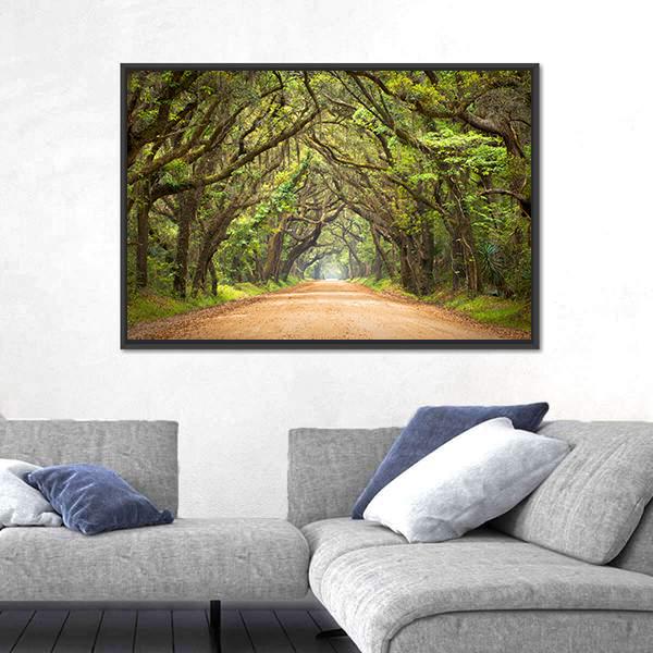 Scenic Forest With Spanish Moss Edisto Island Canvas Wall Art-5 Horizontal-Gallery Wrap-22" x 12"-Tiaracle