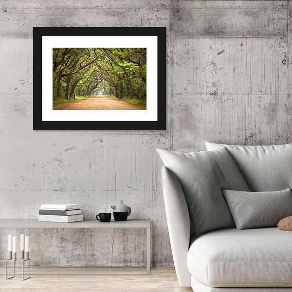 Scenic Forest With Spanish Moss Edisto Island Canvas Wall Art-3 Horizontal-Gallery Wrap-25" x 16"-Tiaracle