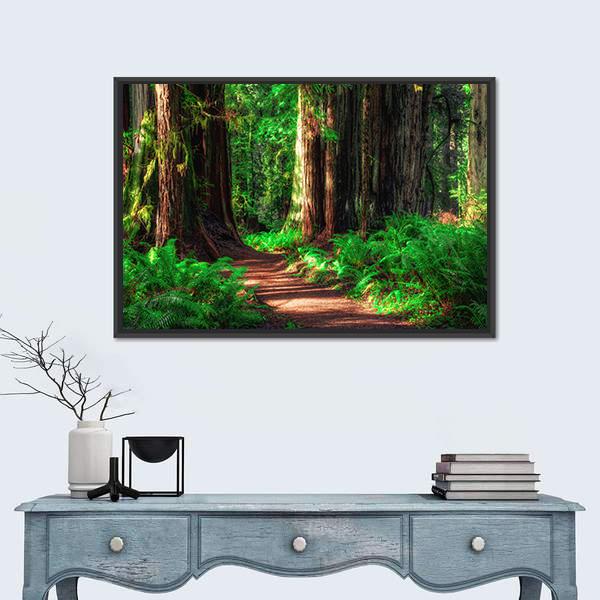 Scenic Redwood Forest Path Canvas Wall Art in brown and green, framed canvas, product view on a white background