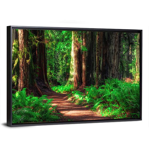 Scenic Path Through The Redwoods Forest Canvas Wall Art-3 Horizontal-Gallery Wrap-25" x 16"-Tiaracle
