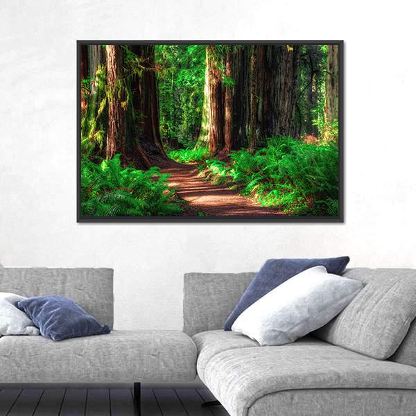 Scenic Path Through The Redwoods Forest Canvas Wall Art-3 Horizontal-Gallery Wrap-25" x 16"-Tiaracle