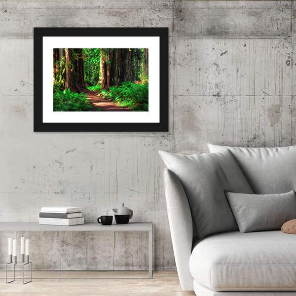 Scenic Path Through The Redwoods Forest Canvas Wall Art-3 Horizontal-Gallery Wrap-25" x 16"-Tiaracle