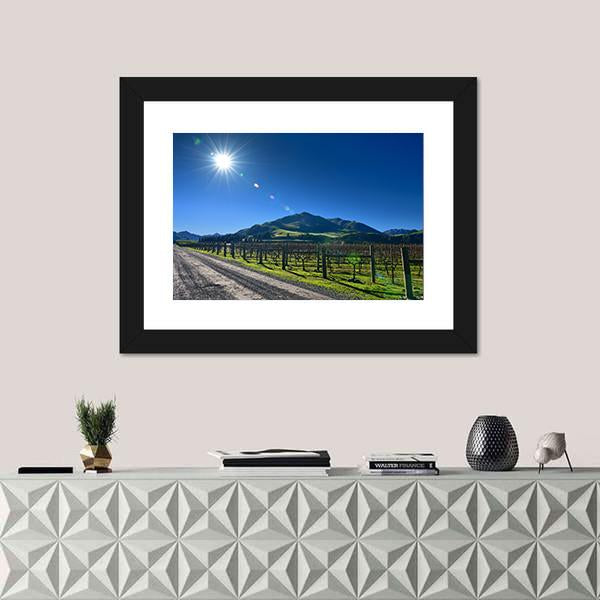 Scenic Vineyard In Canterbury Canvas Wall Art-1 Piece-Framed Print-20" x 16"-Tiaracle
