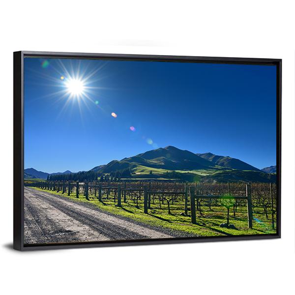Scenic Vineyard In Canterbury Canvas Wall Art-3 Horizontal-Gallery Wrap-25" x 16"-Tiaracle