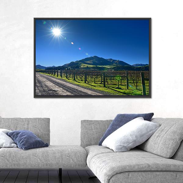Scenic Vineyard In Canterbury Canvas Wall Art-3 Horizontal-Gallery Wrap-25" x 16"-Tiaracle