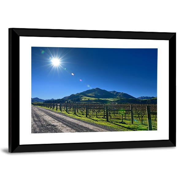 Scenic Vineyard In Canterbury Canvas Wall Art-3 Horizontal-Gallery Wrap-25" x 16"-Tiaracle