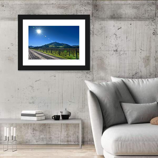 Scenic Vineyard In Canterbury Canvas Wall Art-3 Horizontal-Gallery Wrap-25" x 16"-Tiaracle